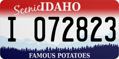 ID license plate I072823