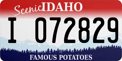 ID license plate I072829