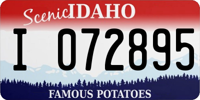 ID license plate I072895