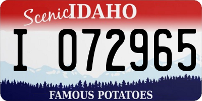 ID license plate I072965
