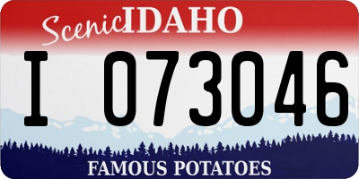 ID license plate I073046