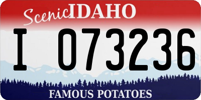ID license plate I073236