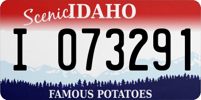 ID license plate I073291