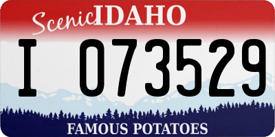 ID license plate I073529