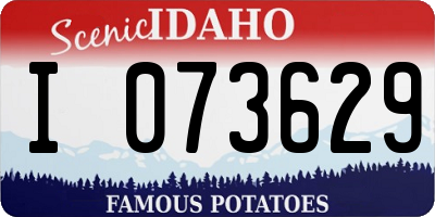 ID license plate I073629