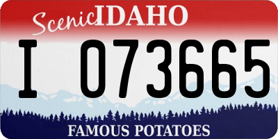ID license plate I073665