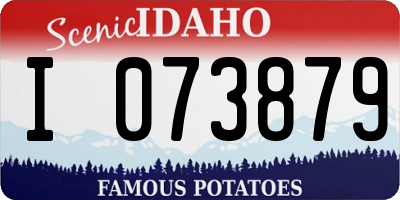ID license plate I073879
