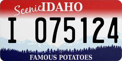 ID license plate I075124