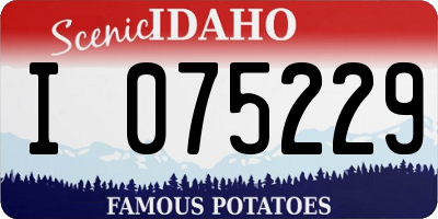 ID license plate I075229