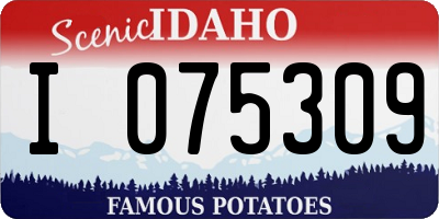 ID license plate I075309