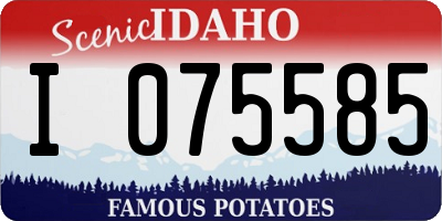 ID license plate I075585