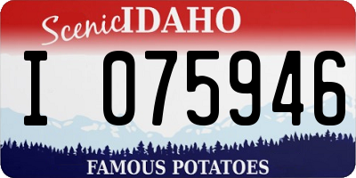 ID license plate I075946