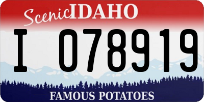 ID license plate I078919