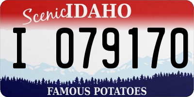 ID license plate I079170