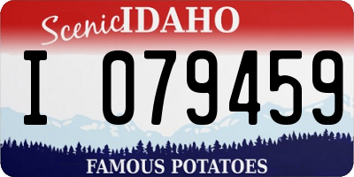 ID license plate I079459