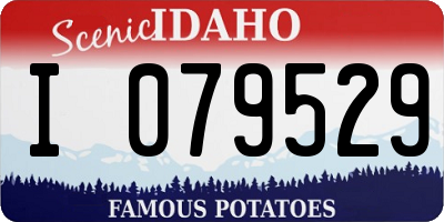 ID license plate I079529