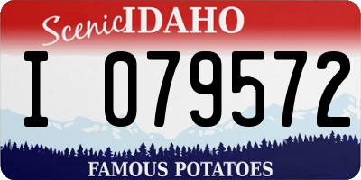 ID license plate I079572