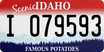 ID license plate I079593