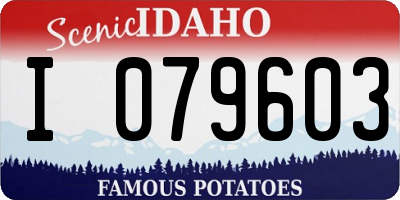 ID license plate I079603