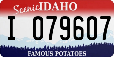 ID license plate I079607