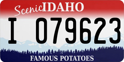 ID license plate I079623