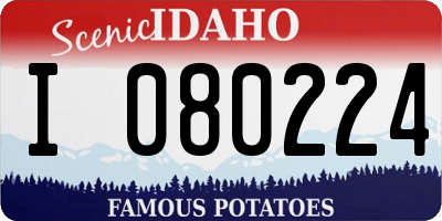 ID license plate I080224