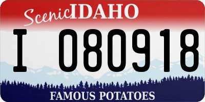 ID license plate I080918