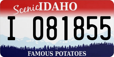 ID license plate I081855