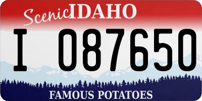 ID license plate I087650