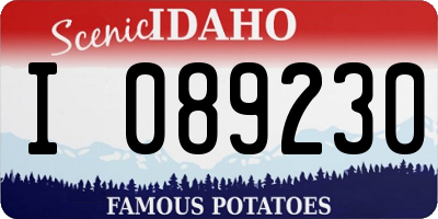 ID license plate I089230