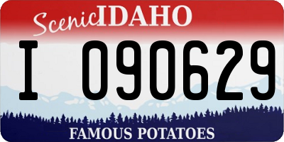 ID license plate I090629