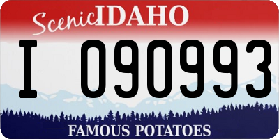 ID license plate I090993