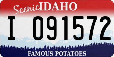 ID license plate I091572