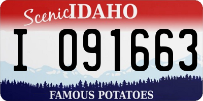 ID license plate I091663