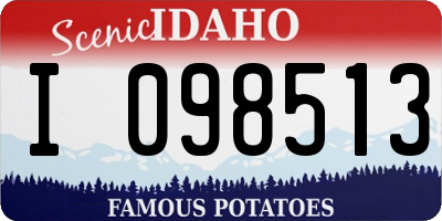 ID license plate I098513