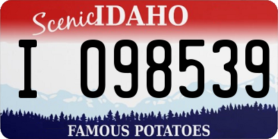 ID license plate I098539
