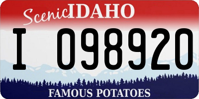 ID license plate I098920