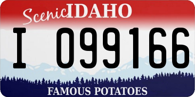 ID license plate I099166