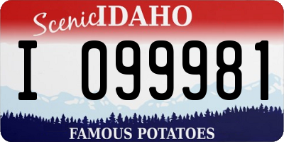 ID license plate I099981