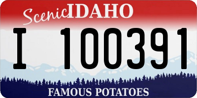 ID license plate I100391