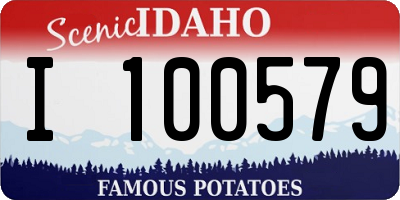ID license plate I100579