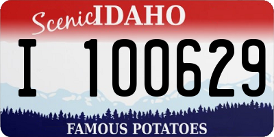ID license plate I100629