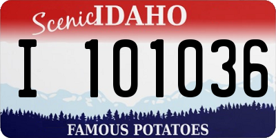 ID license plate I101036
