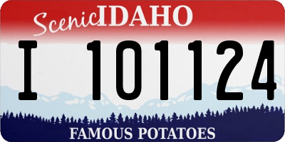 ID license plate I101124