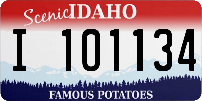 ID license plate I101134