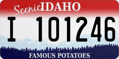 ID license plate I101246