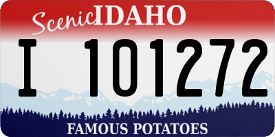 ID license plate I101272