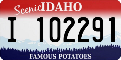 ID license plate I102291