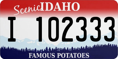 ID license plate I102333