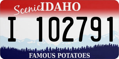 ID license plate I102791